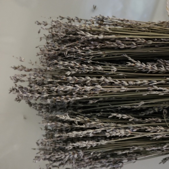 Last three bundles of Kentucky grown lavender - Picture 2 of 5